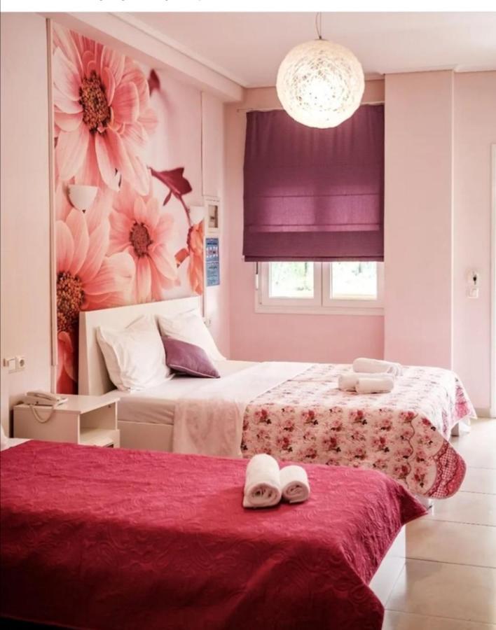 Studios Ioulia Keremetli Dış mekan fotoğraf